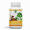 Oro Verde SangrUňa (Uňa de Gato & Sangre de Drago) VEGA kapsle 100 x 350 mg