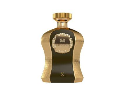 Afnan highness x eau de parfum 100 ml man 1