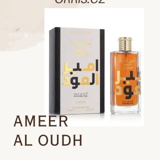 Objevte jedinečnou eleganci Ameer Al Oudh Eau de Parfum – mistrovská kombinace teplého oudu, kouřového dřeva, vanilky a...