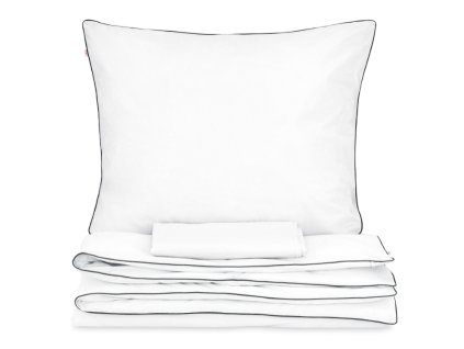 Snímek obrazovky 2025 12 04 124155