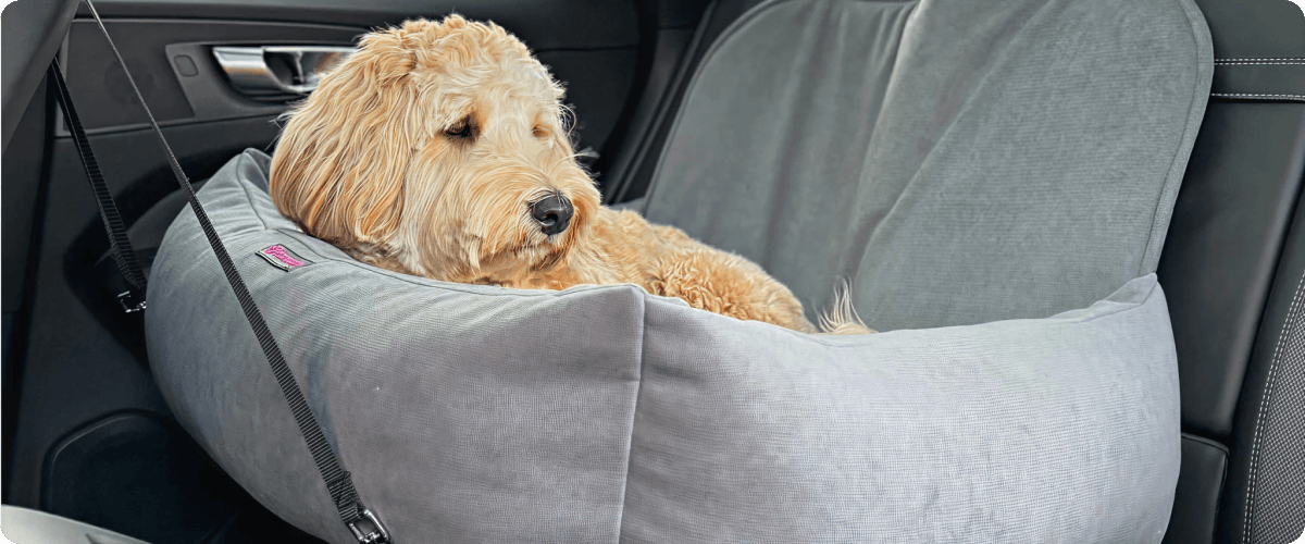 Autosedačka pro psa: bezpečné cestování pro malé i střední psy