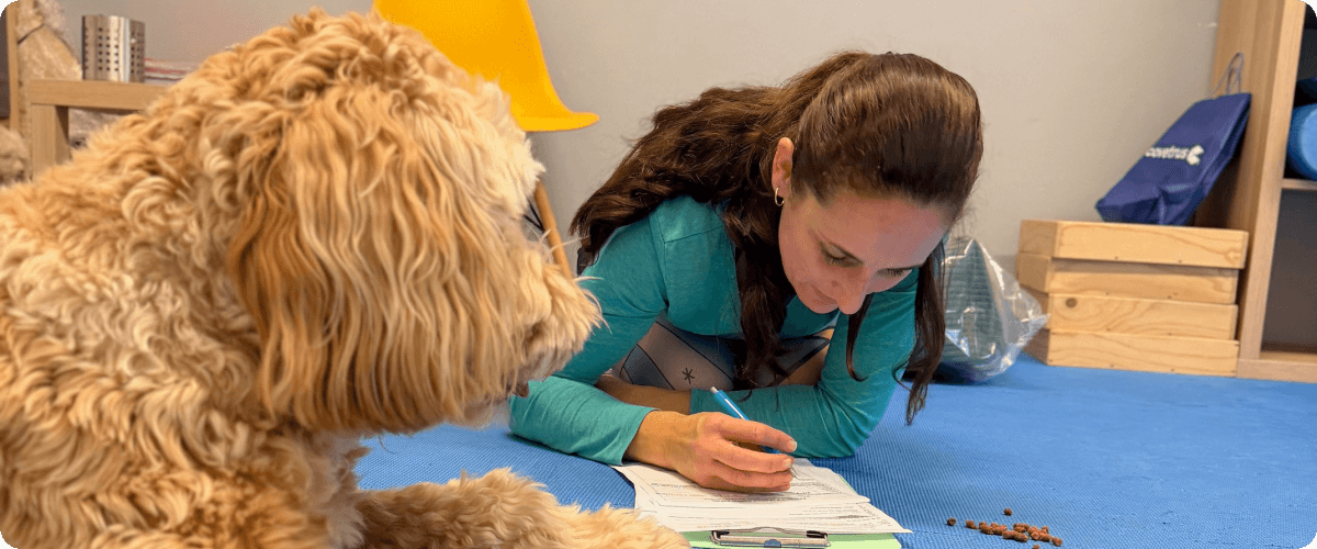 Dornova metoda pro psy - Jak funguje a probíhá