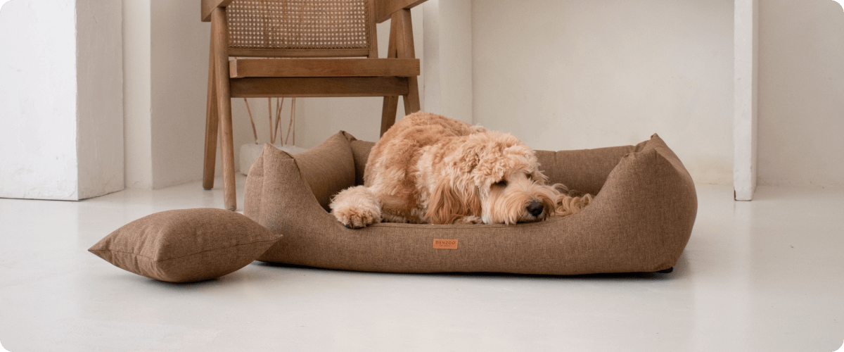 Jaký pelíšek vybrat pro starého pejska?