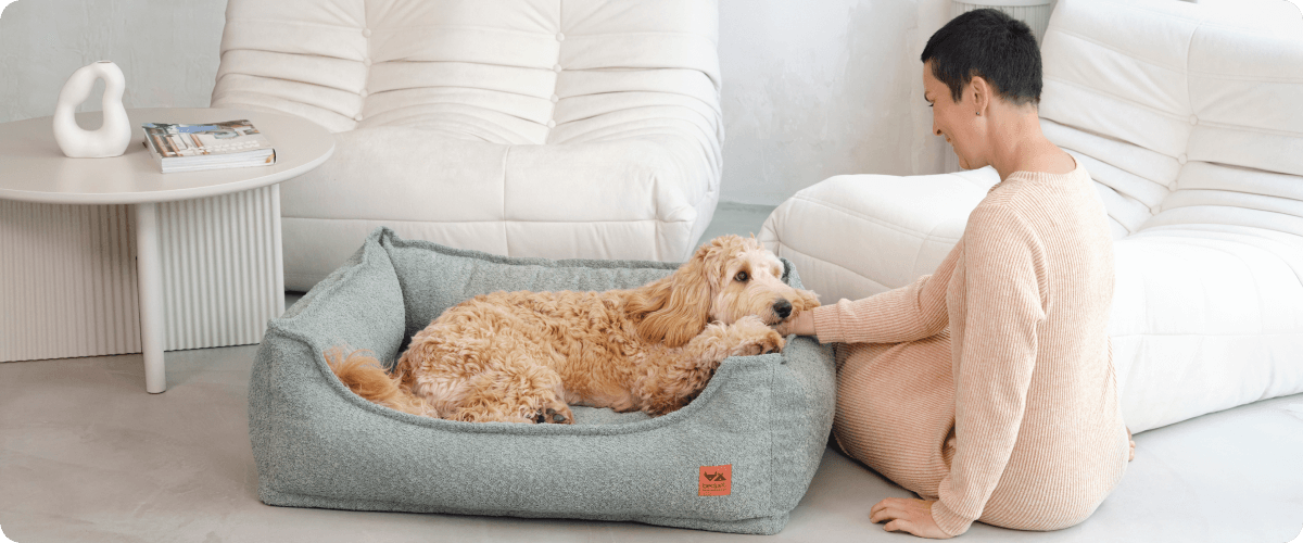 Naše nejlepší ortopedické pelíšky – co doporučujeme já a Jeffsy