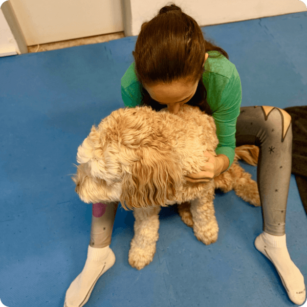 dornova-metoda-pro-psy-prubeh