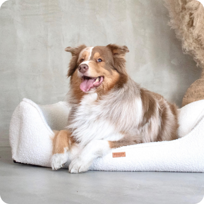 odpocinek-po-aquaterapii