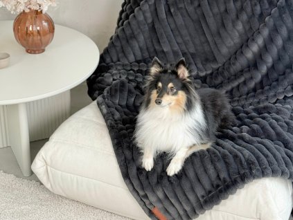 Voděodolná deka pro psa tmavě šedá