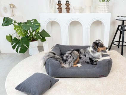 capri-ortopedicky-pelisek-pro-psa-sedy