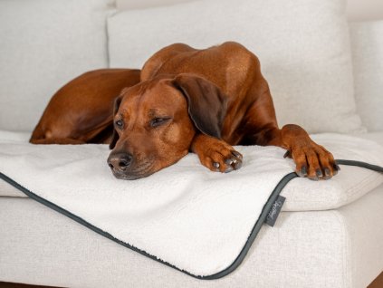 vodeodolna-deka-pro-psa-pearle-4