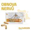 Altervet-benforegen-2