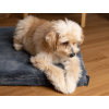 vitamedog-ortopedicka-matrace-pro-psa-seda-1