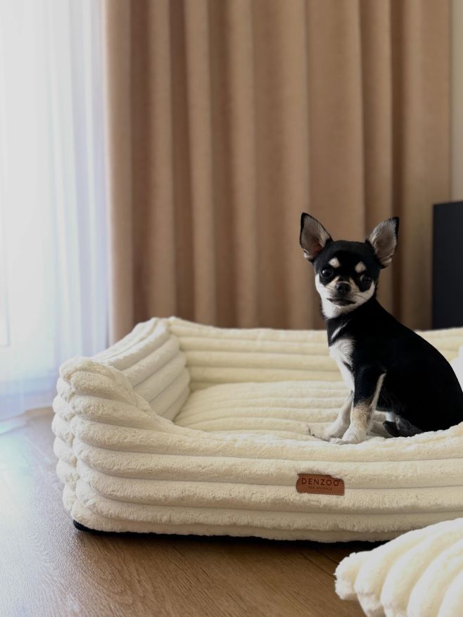 Toník 🐾 je náš nový model. Jsou mu jen 4 měsíce, ale jde mu to skvěle 🫶🏻 Pelíšek PALERMO v nové světle krémové barvě mu...