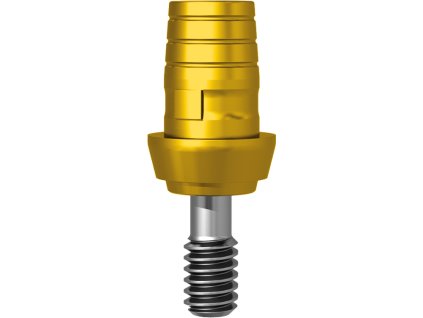 ICTIB15NEC