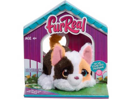 FUR REAL MY MINI'S  KITTY