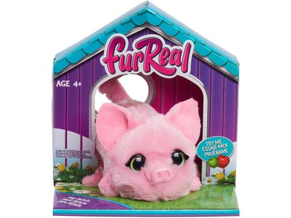 FUR REAL MY MINI´S PIGGY