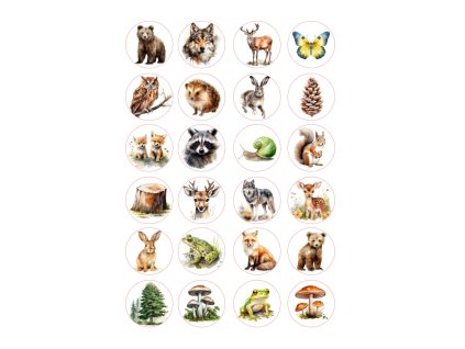 LESNÍ ZVÍŘÁTKA_34