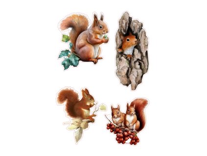 LESNÍ ZVÍŘÁTKA_09