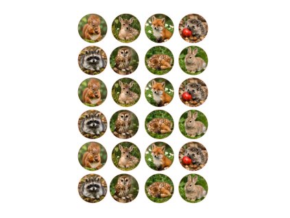 LESNÍ ZVÍŘÁTKA_32