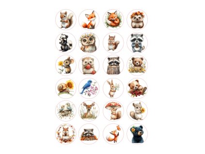 LESNÍ ZVÍŘÁTKA_33