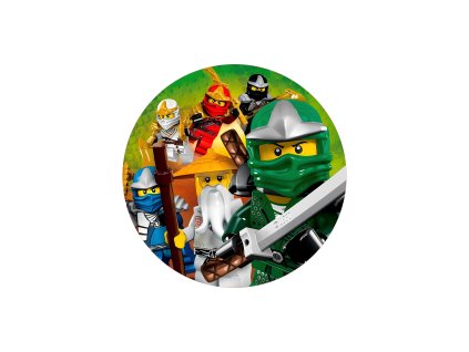 LEGO07