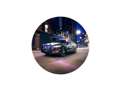 POLICIE03