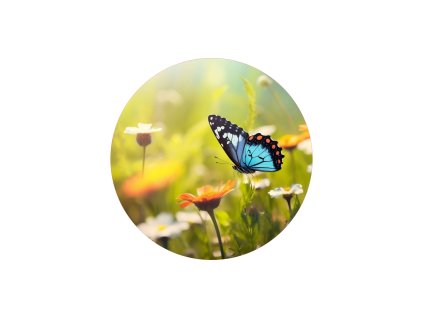 MOTYL01