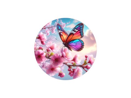 MOTYL04