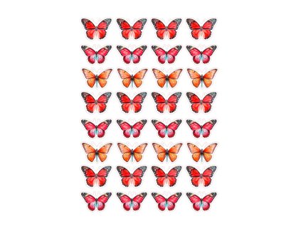 MOTYL58