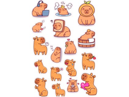 KAPYBARA16