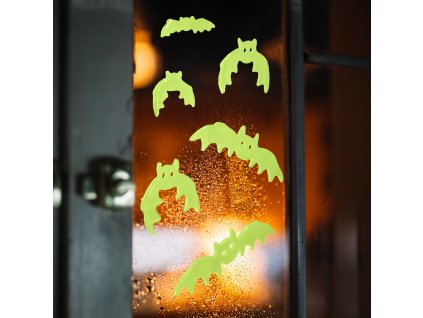 product image 1 (6)