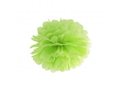 Papírová Pom pom koule zelená 25cm