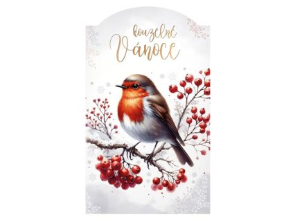 Vánoční blahopřání Ptáček Červenka
