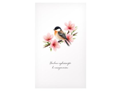 Blahopřání k narozeninám Ptáček