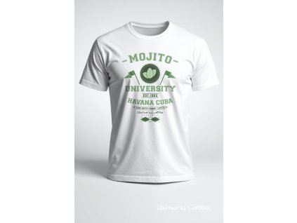 vizualizace T shirts Mojito 2
