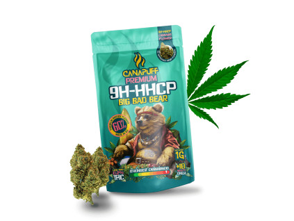 9h hhcp kvety bigbad