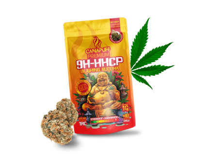 9h hhcp kvety buddha