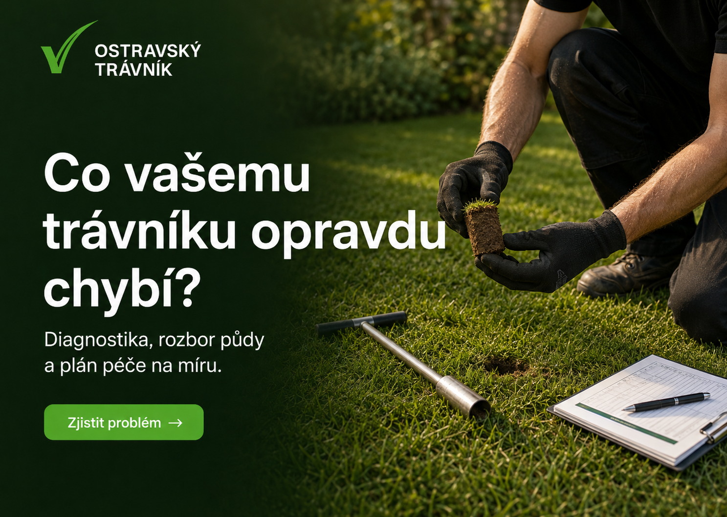 Diagnostika trávníku podle fotografie a doporučení správné péče