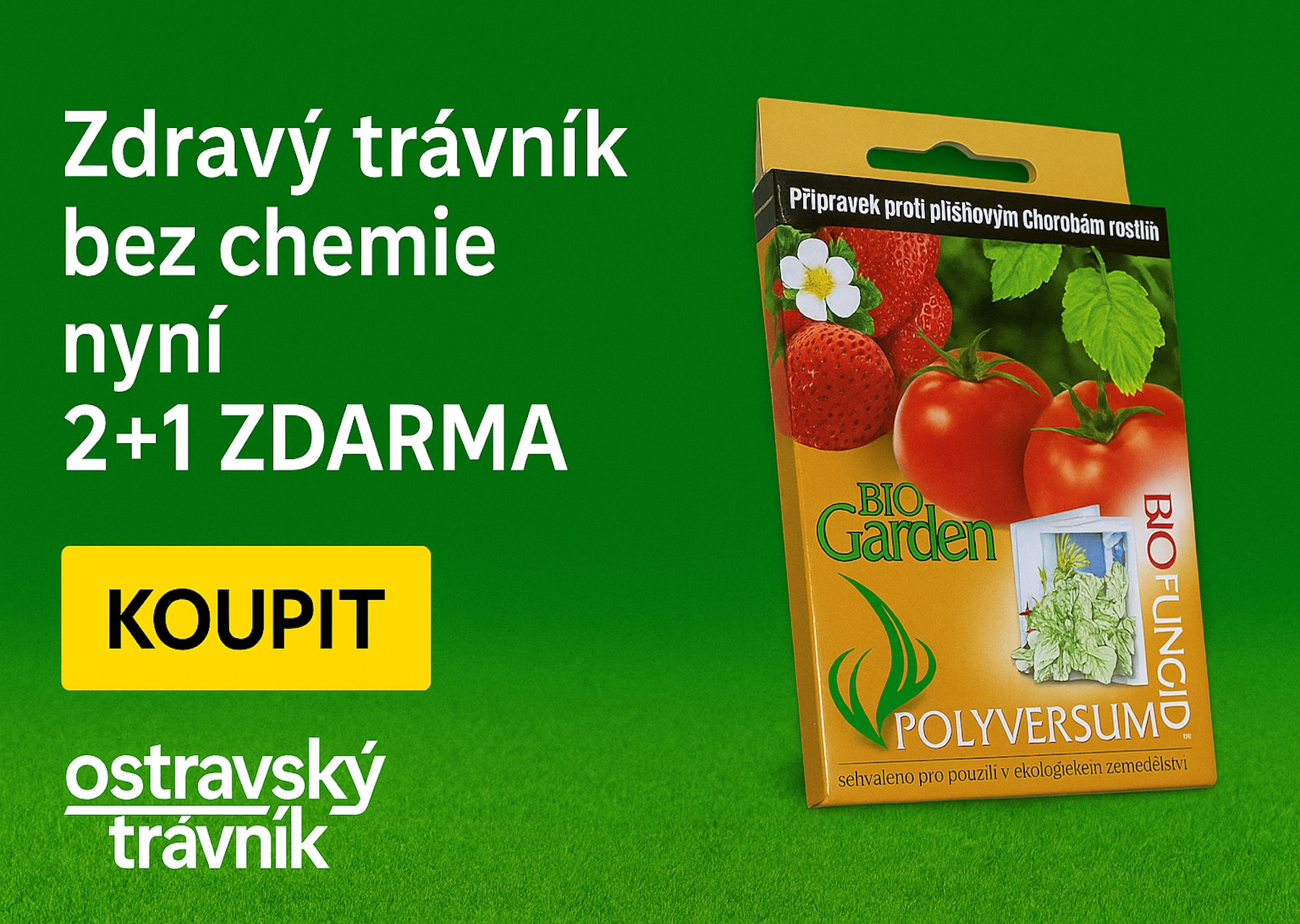 Polyversum 2+1 ZDARMA