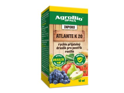 Atlante 10