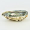 Abalone shell