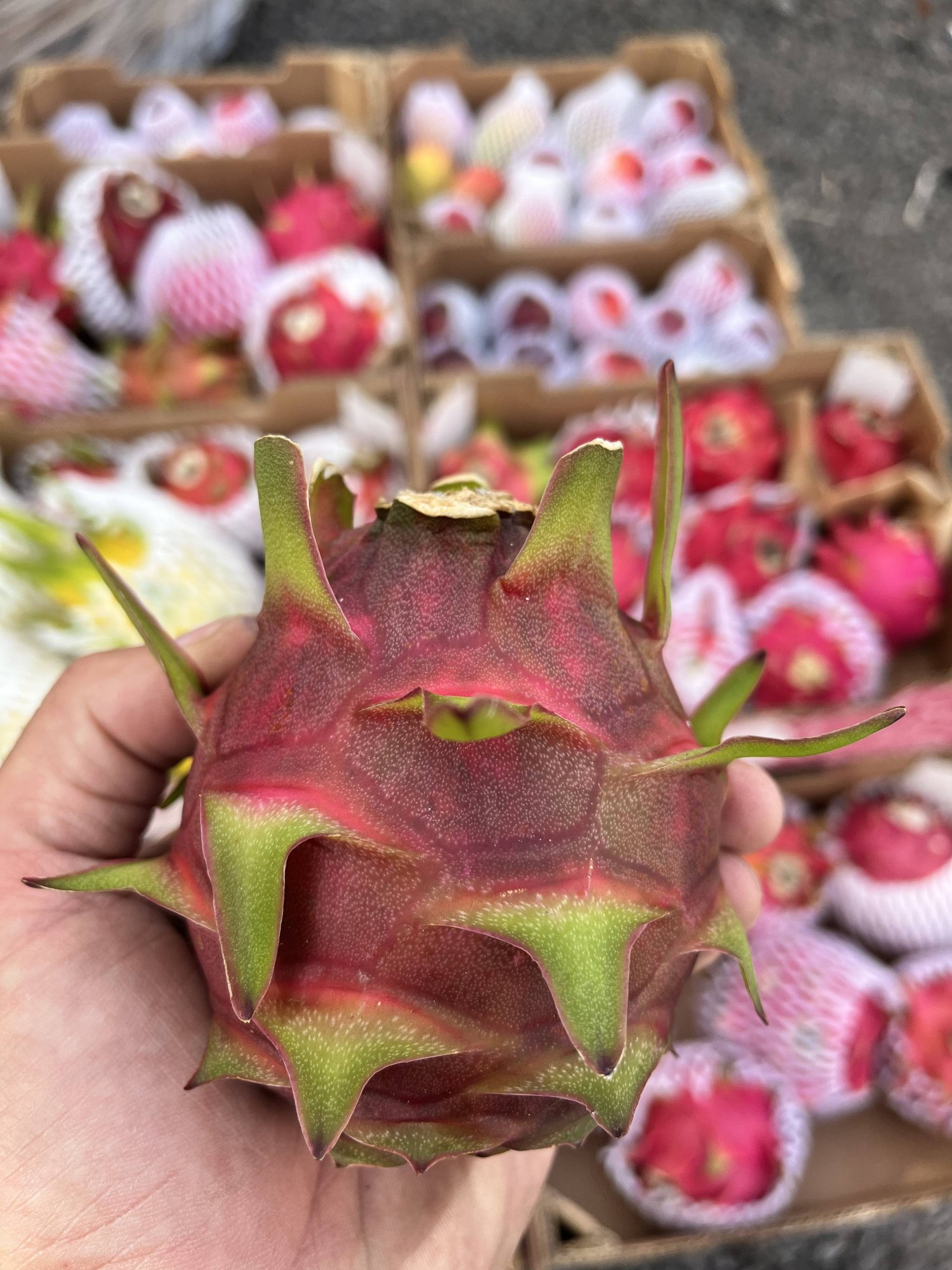 7 mýtov o dračom ovocí, ktorým by ste nemali veriť