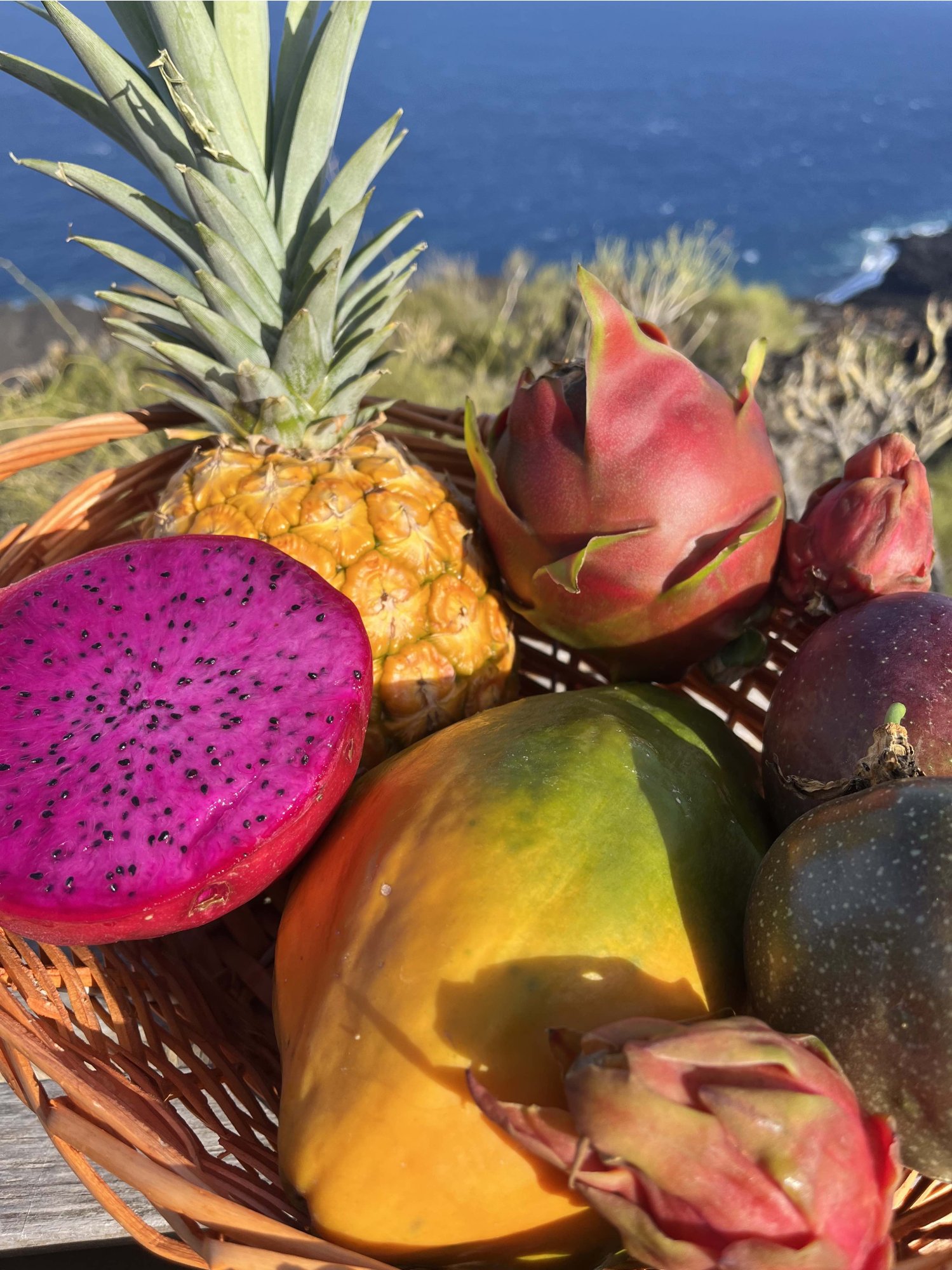 Top 10 exotického ovocia, ktoré naozaj stoja za to