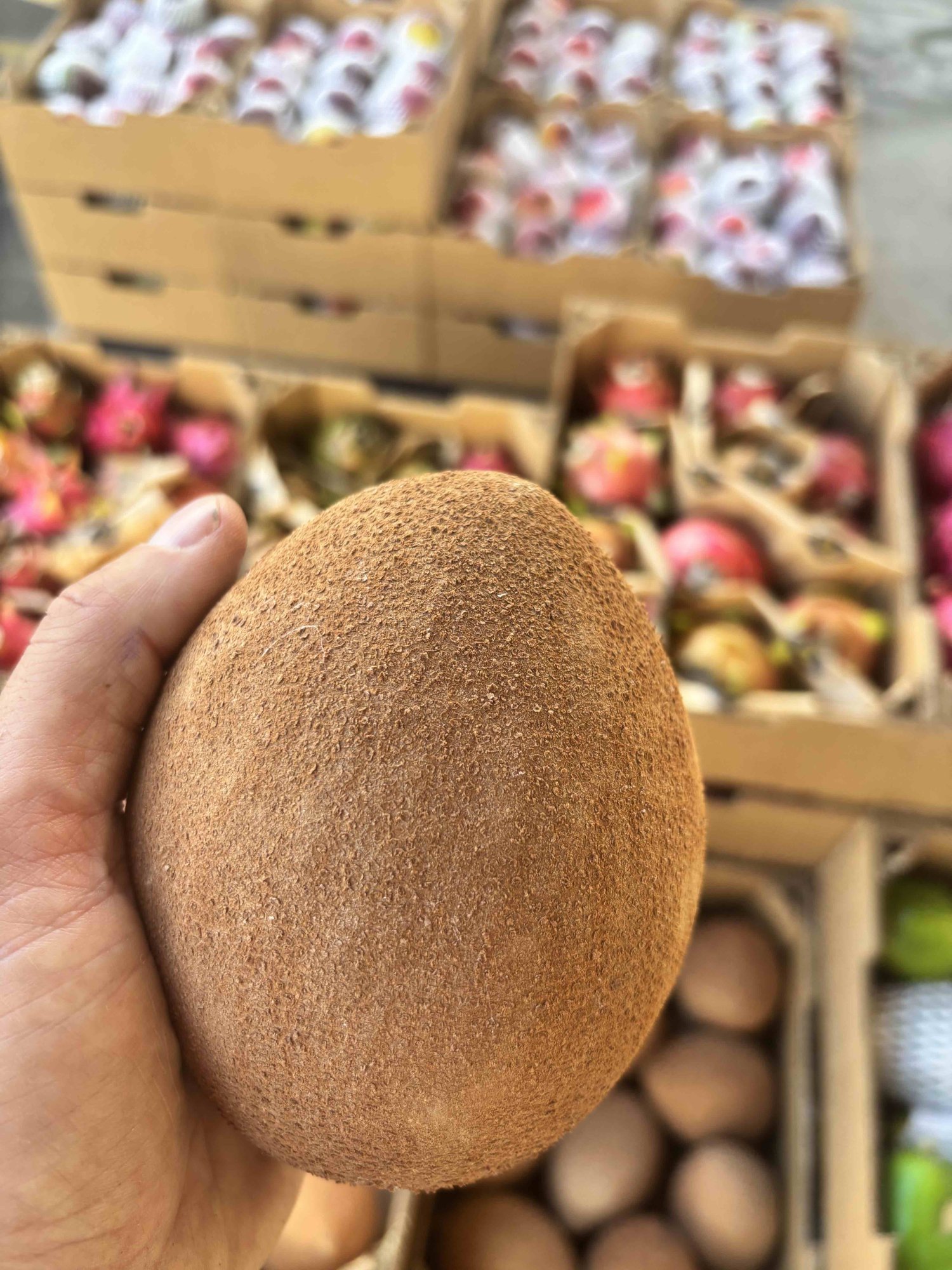 Mamey sapote –  ovoce bohů