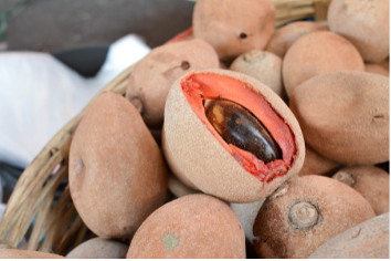 Exotické ovoce na talíři: Mamey sapote