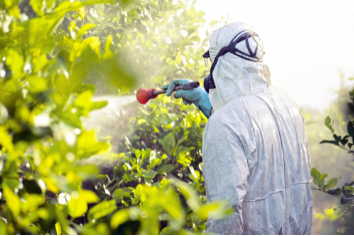 Pesticidy: skryté nebezpečí nebio exotického ovoce