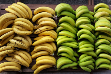 Tajemství zelených banánů