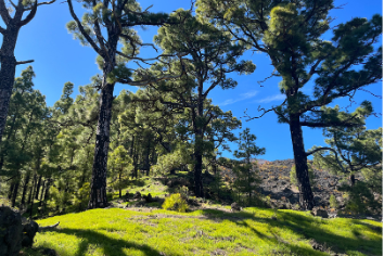 Nejzajímavější místa ostrova La Palma