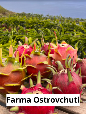 Eko farma na La Palmě
