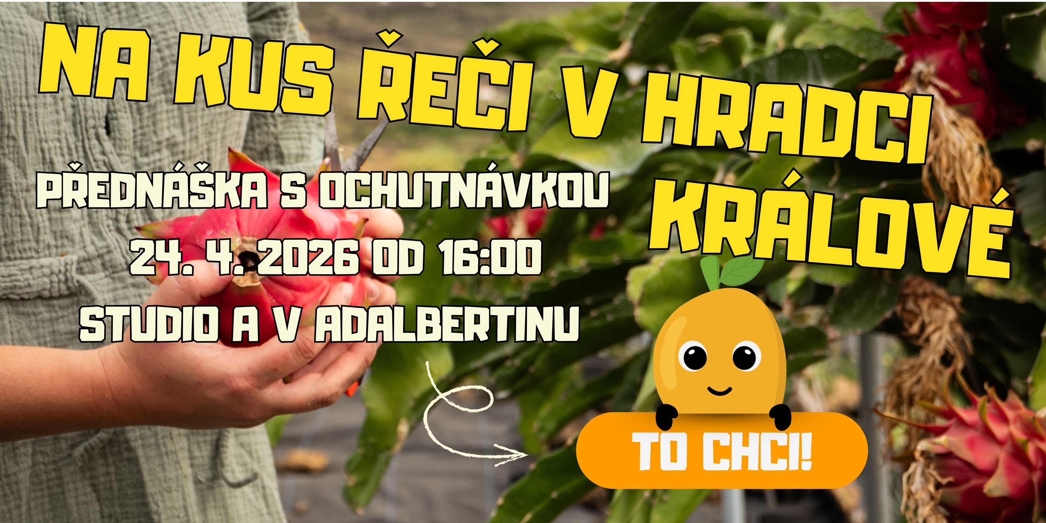 Přednáška Hradec Králové | Ostrovchuti