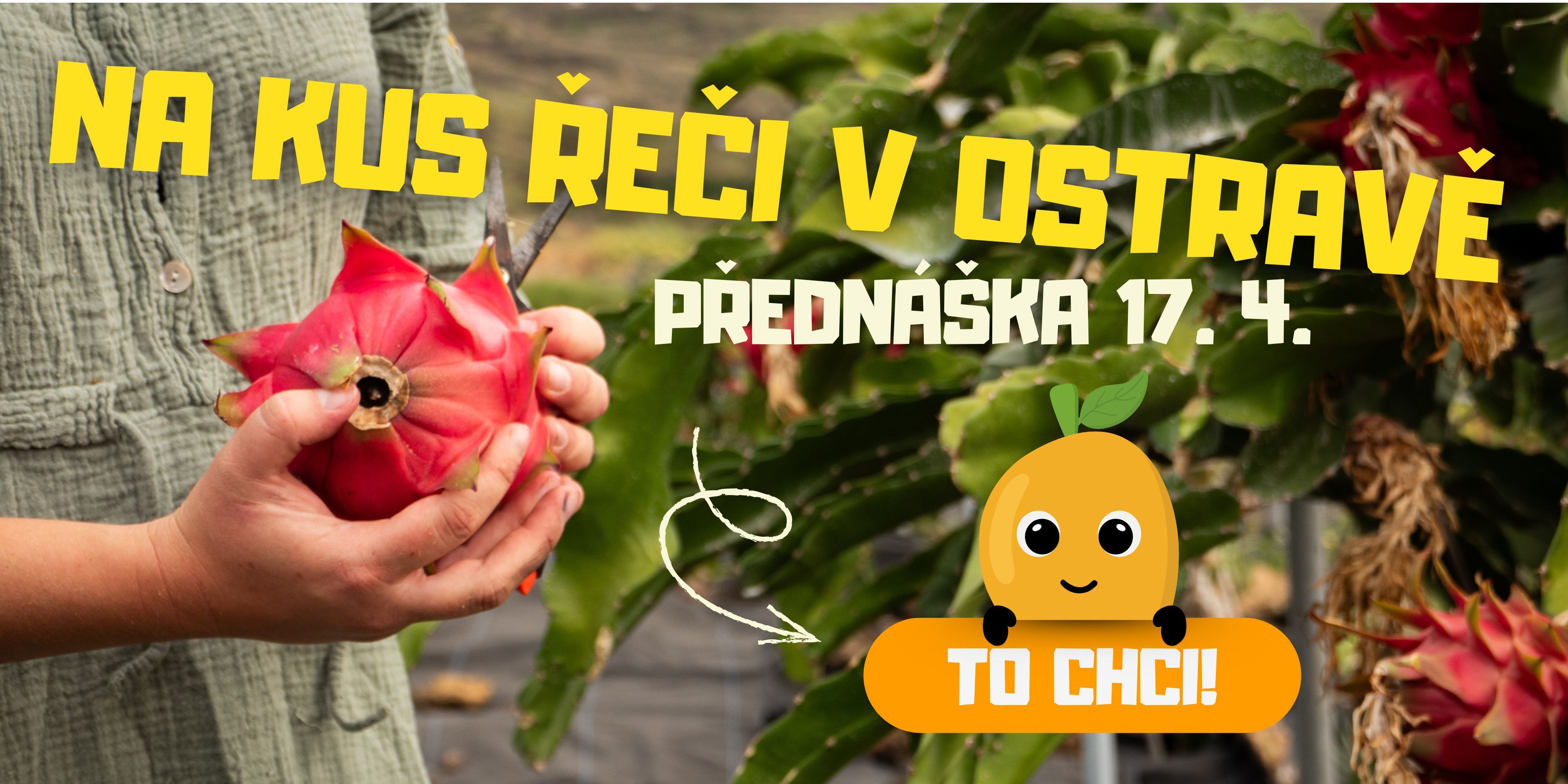 Přednáška Ostrava | Ostrovchuti